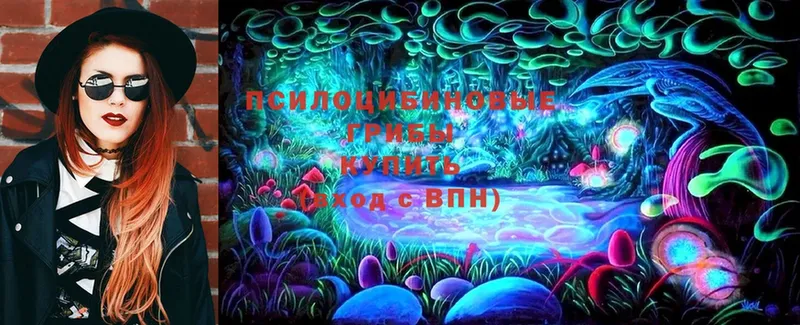 Галлюциногенные грибы MAGIC MUSHROOMS  Абаза 